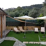 Olive Tree Villa