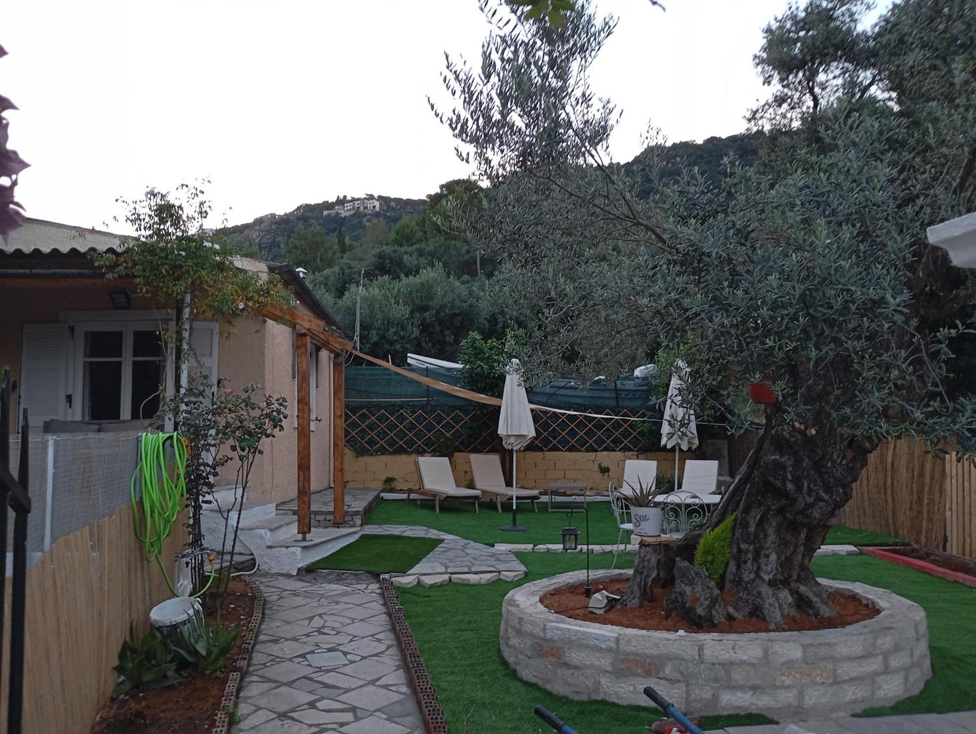 Olive Tree Dom wakacyjny *